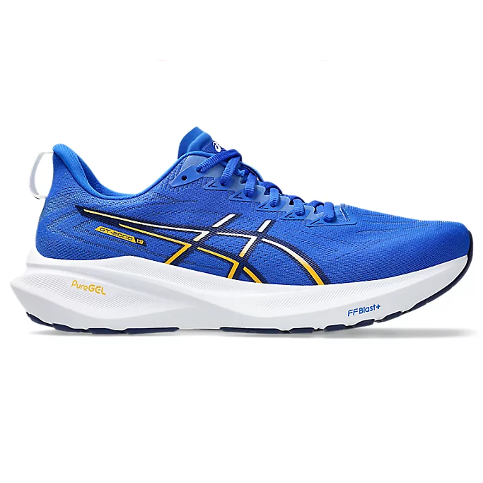ASICS GT 2000 13 D WIDTH MENS – Poobie Naidoo's
