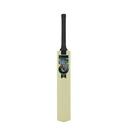 GUNN &amp; MOORE AION 101 KASHMIR WILLOW CRICKET BAT SIZE 1-SH