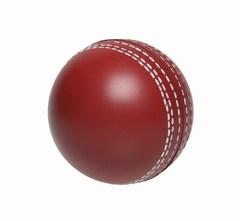 GUNN & MORRE MINI CRICKET BALL RED