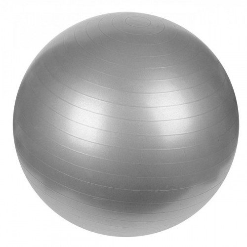 MEDALIST GYM BALL 65CM
