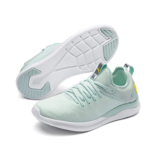 PUMA IGNITE FLASH EVOKNIT LADIES
