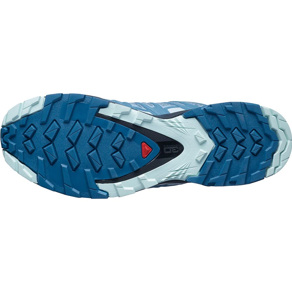 SALOMON XA PRO 3D V8 LADIES – Poobie Naidoo's