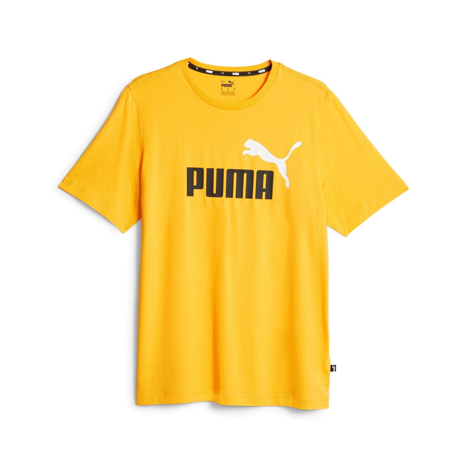 Apparel - Gym