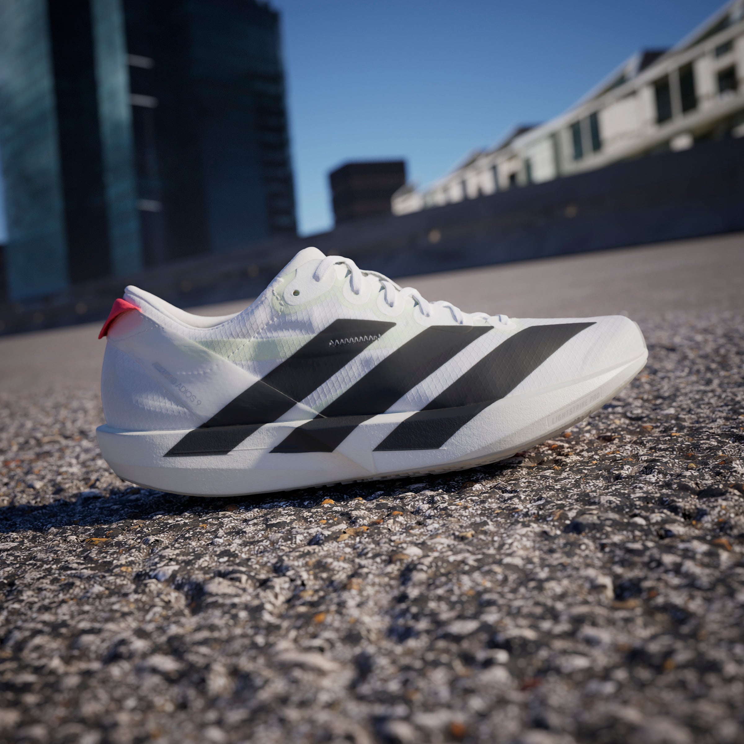 ADIDAS ADIZERO ADIOS 9 LADIES – Poobie Naidoo's