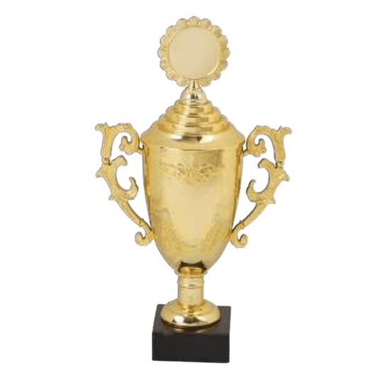 TROPHY 27CM