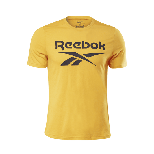 REEBOK WORKOUT READY SUPREMIUM GRAPHIC TEE MENS