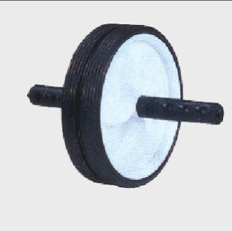 MEDALIST EXERCISE WHEEL DOUBLE